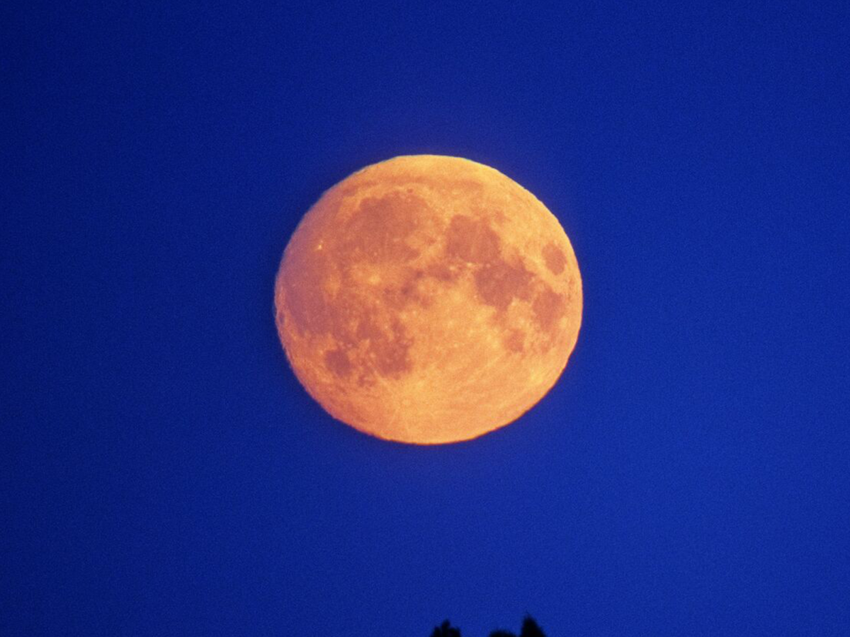 How To See April's Stunning Full Pink Moon Oye! Times