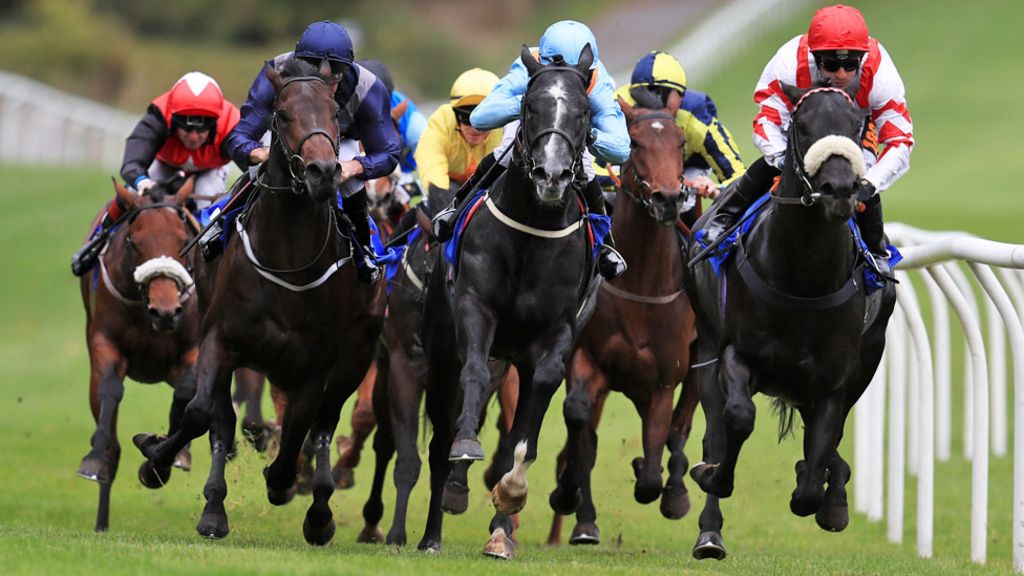 Velocidad de un caballo de carrera