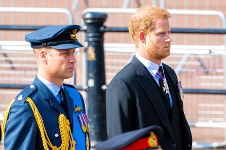 Prince William,Prince Harry