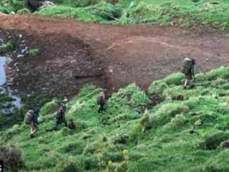 New Zealand father and children filmed